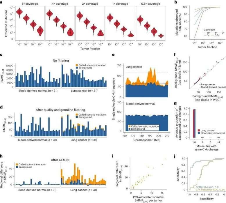 Single-molecule mutation analyses of PCAWG lung cancers and normal samples.