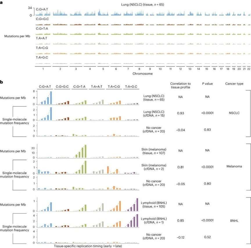 Genome-wide mutation profiles of tissue and plasma samples are associated with replication timing.