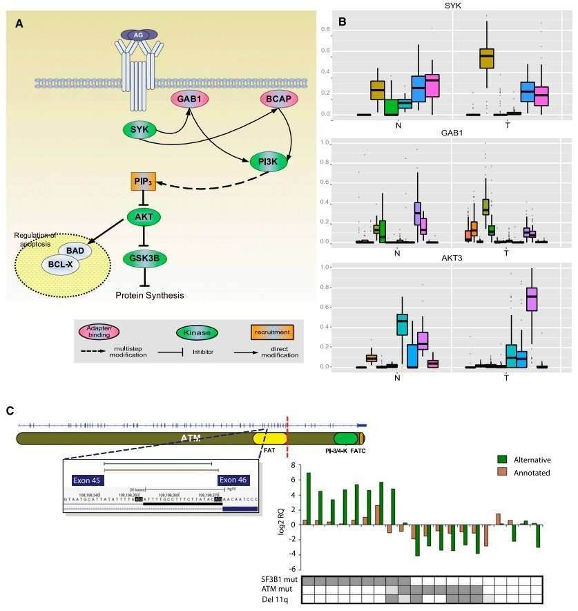 FIGURE 2. 