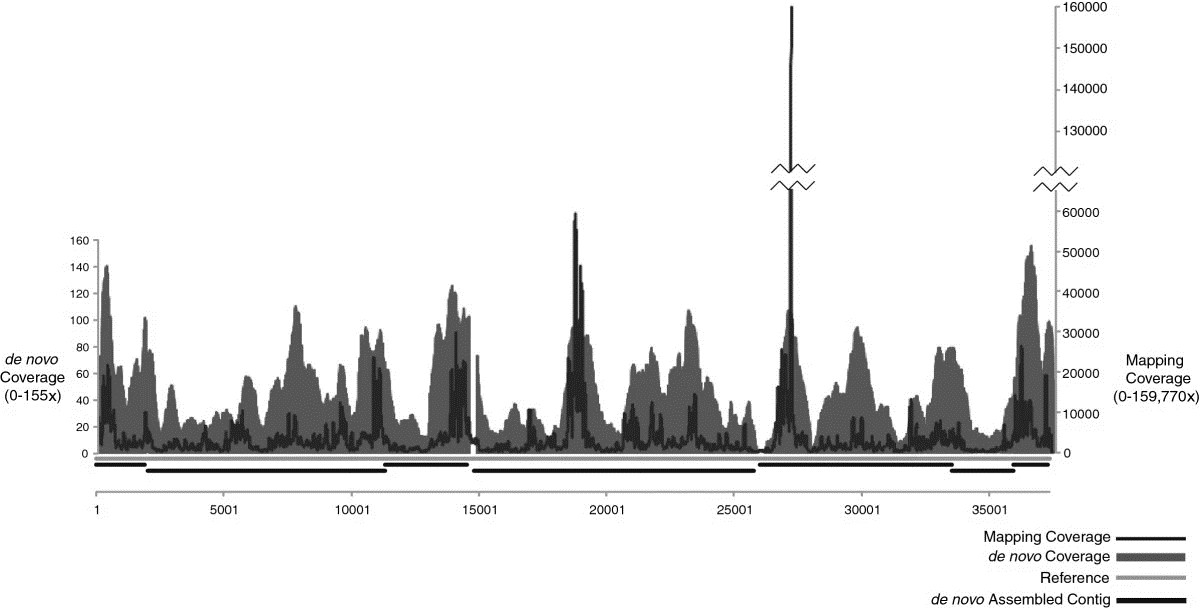 FIGURE 1. 