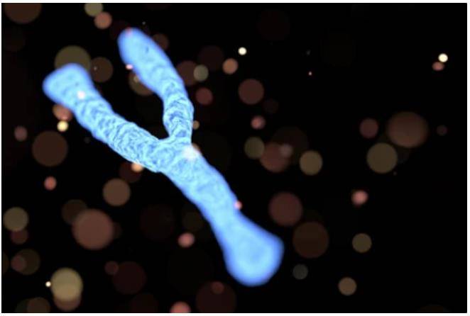 Successful Decoding of the Y Chromosome: A Milestone in Human Genome Unraveling