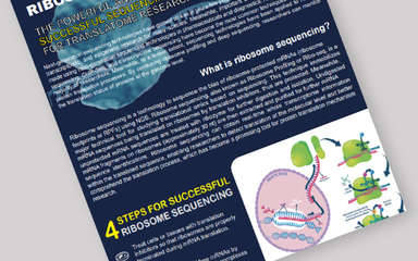 Ribosome Profiling, A Powerful Sequencing Tool for Translatome Research