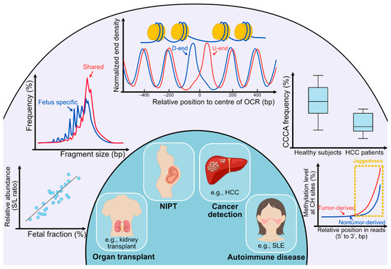 Clinical utilities of cfDNA fragmentomics.