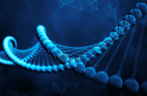 cfDNA Extraction and Quality Control Protocol