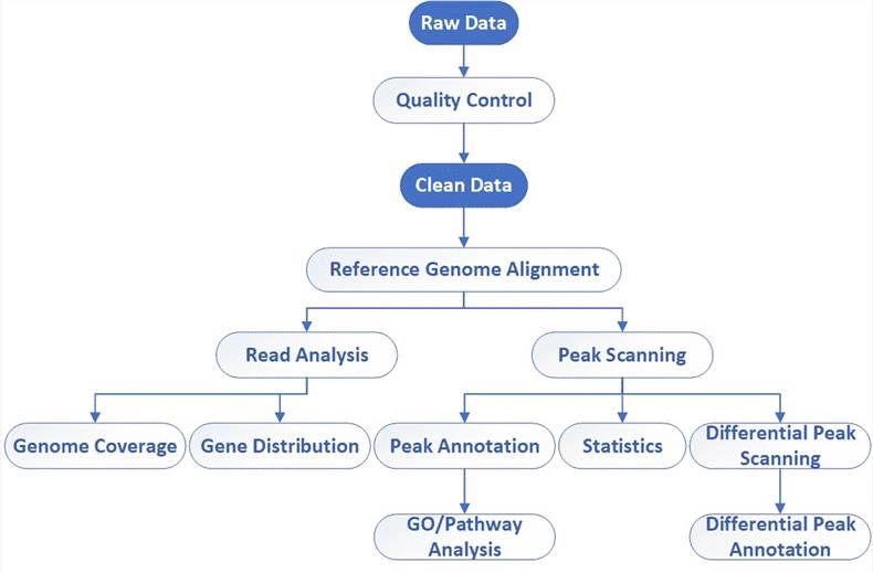 The Data Analysis Pipeline of ChIP-Seq.