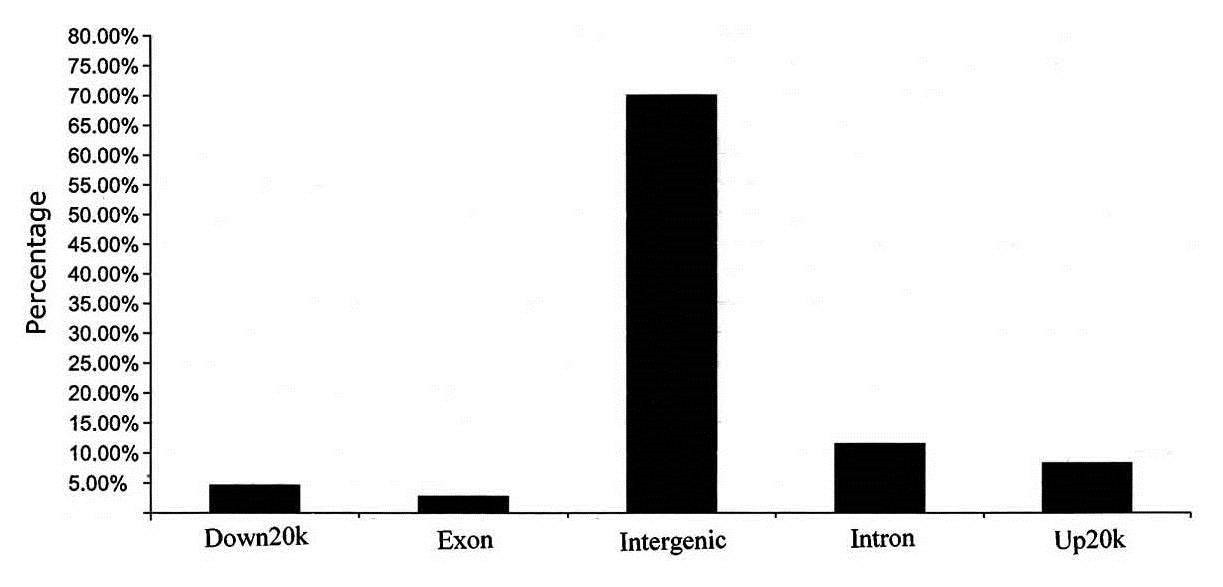 Figure 2. Genome-wide distribution of peaks in relation to annotated genes. (Sui et al., 2014)
