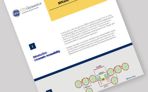 Chromatin Accessibility Assays: ATAC-Seq, DNase-Seq, MNase-Seq and FAIRE-Seq