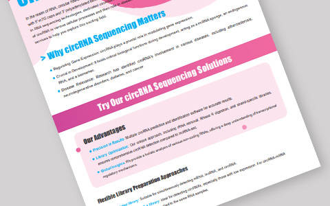 How to Design Your CircRNA Research With Sequencing