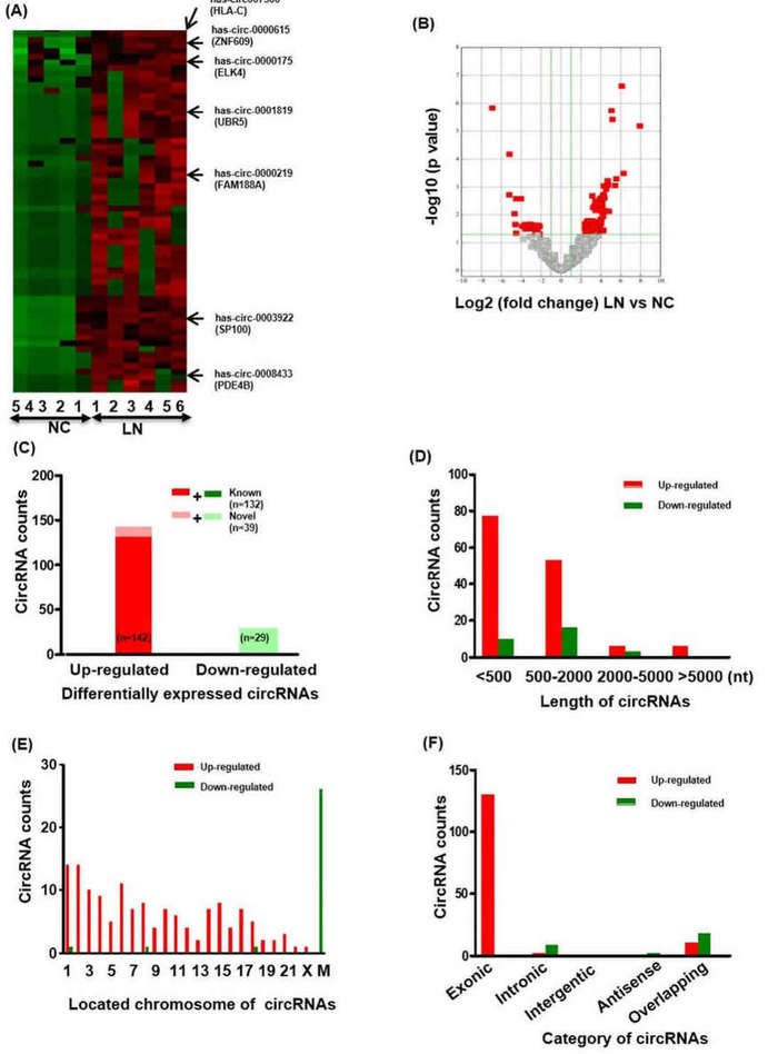Figure 1. Profiling and characteristics of circRNAs. (Luan et al., 2018)