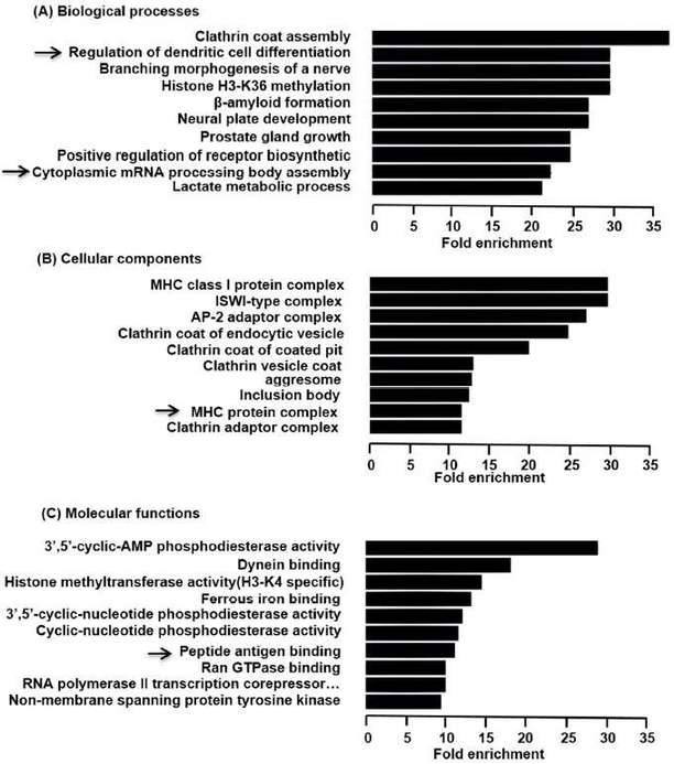 Figure 3. Predicted functions of overexpressed circRNAs in LP. (Luan et al., 2018)