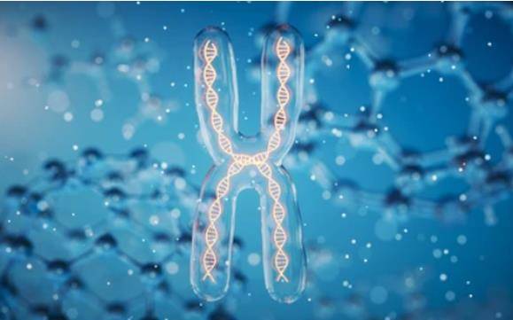 Combination of ChIP-seq and ATAC-seq Illuminates the Regulatory Landscape of the Genome