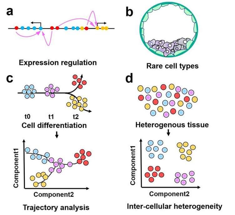 Future applications of single-cell epigenomics.