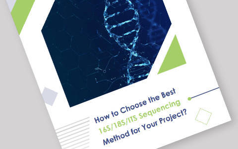 How to Choose the Best 16S/18S/ITS Sequencing Method for Your Project