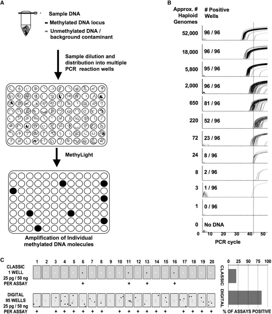 Digital MethyLight-based real-time PCR amplification. (Daniel J Weisenberger et al,. 2008)