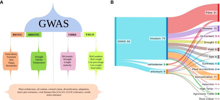 GWAS conducted for different aspects of cotton