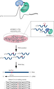 DART-seq