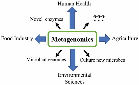 Metagenomics application diagram.