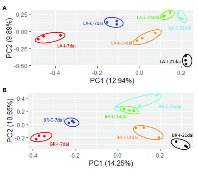 Principal Component Analysis (PCA) plots for RNA-seq data (Leonardo Miguel Galindo Gonzalez et al, 2020)