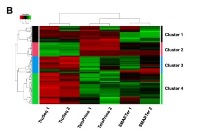 Heat map of differential expressed genes