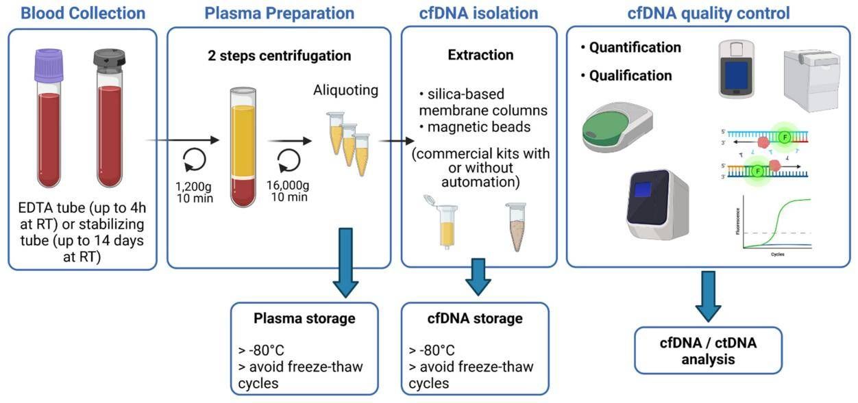 Figure 1. Overview of the primary steps involved in blood sample processing and cfDNA extraction. (Bohers et al., 2021)