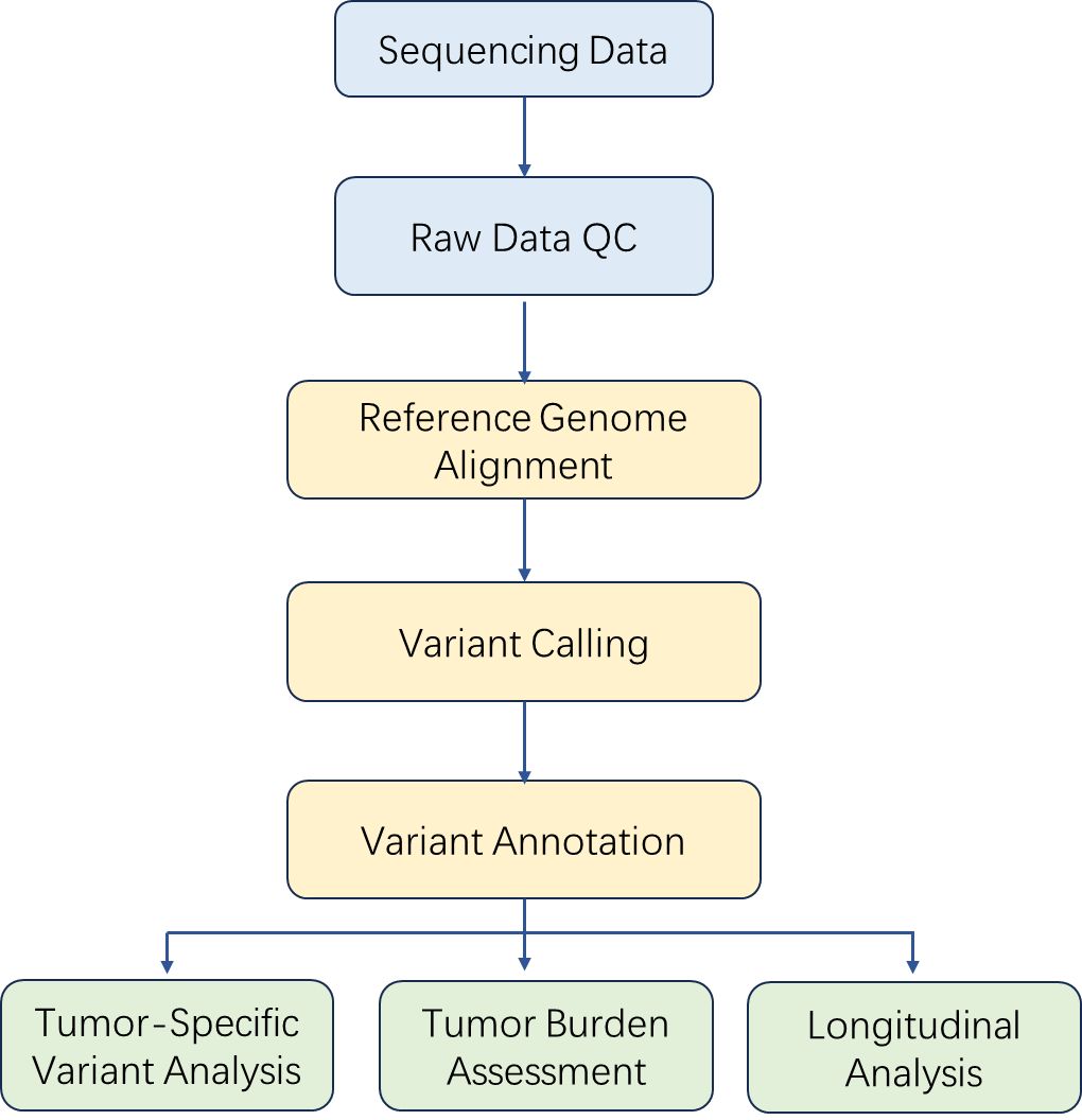 The Data Analysis Pipeline of ctDNA Sequencing.