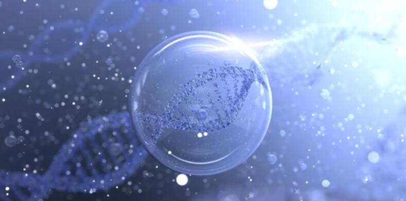 Circulating Tumor DNA (ctDNA) vs. Cell-free DNA (cfDNA)