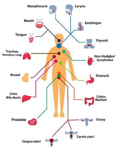 The Difference Between cfDNA and ctDNA