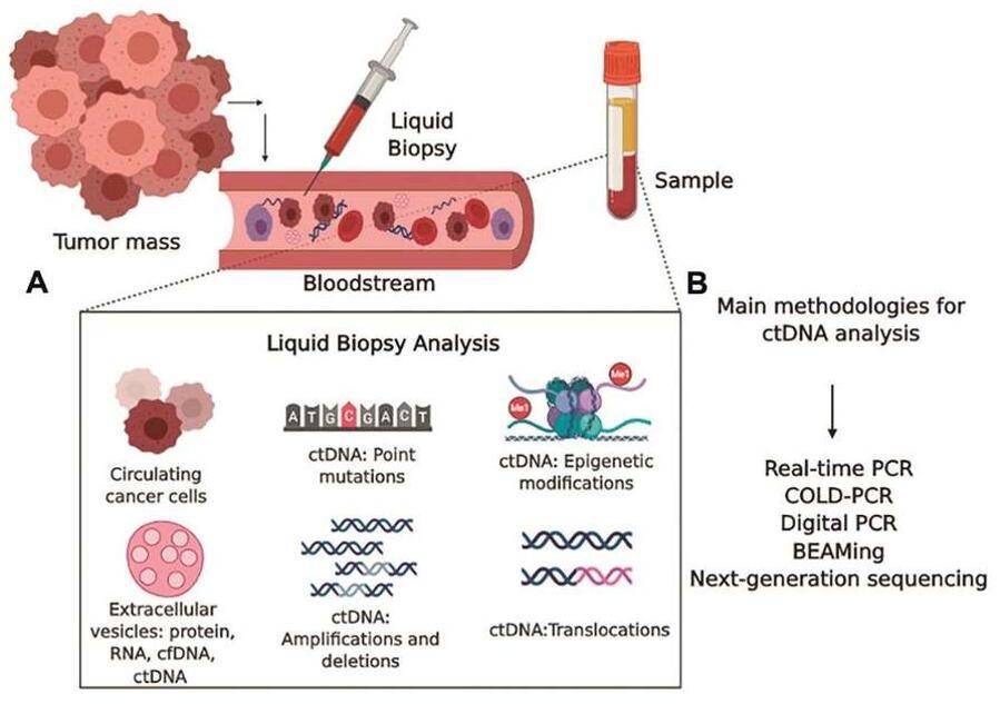 ctDNA as a Cancer Biomarker