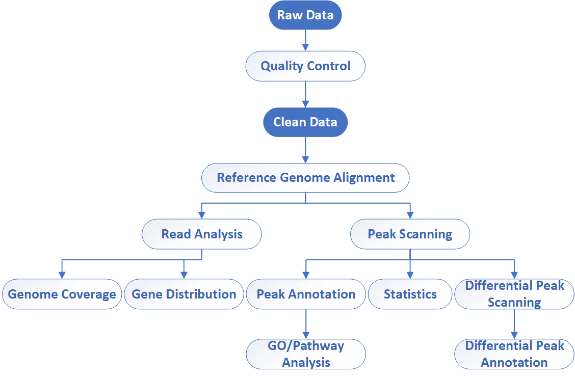 Bioinformatics workflow of DAP-Seq