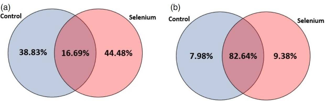 Figure 1. Distribution of miRNAs in control and Se-treated samples: (c) conserved miRNAs; (d) novel miRNAs. (Cakir et al., 2016)