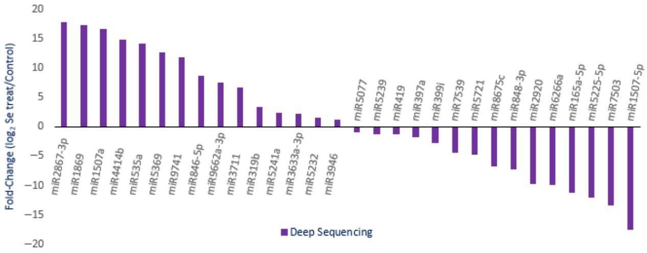 Figure 3. Expression profiles of randomly selected miRNAs with varying abundance in Se-treated A. chrysochlorus calli. (Cakir et al., 2016)