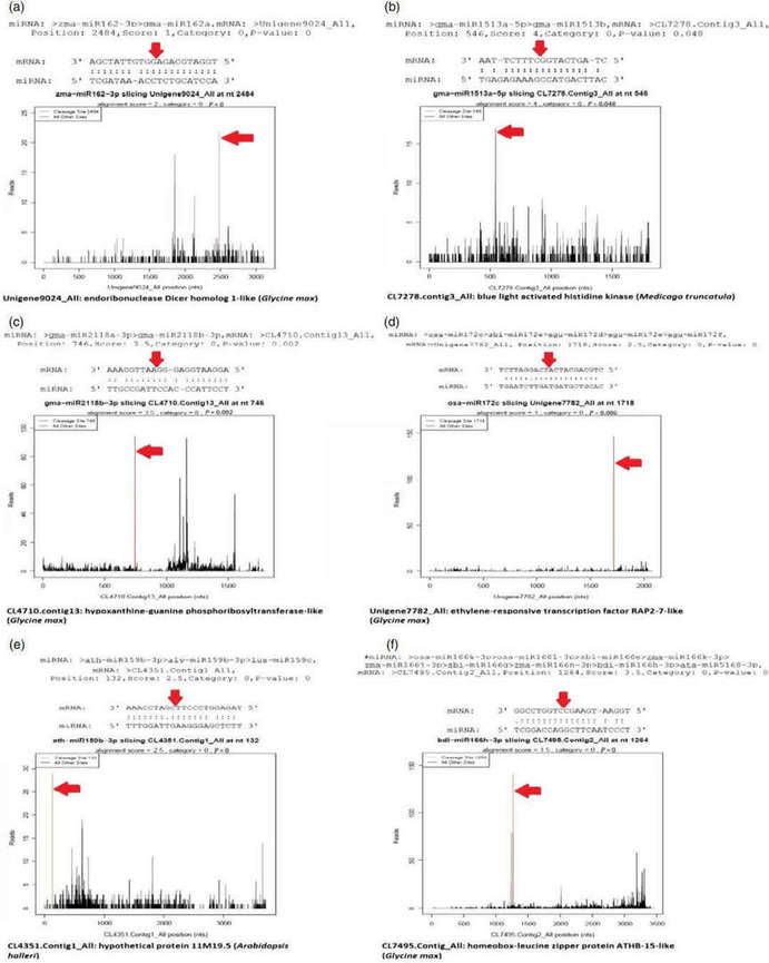 Figure 4. Target plots (t-plots) illustrating miRNAs and their respective targets. (Cakir et al., 2016)