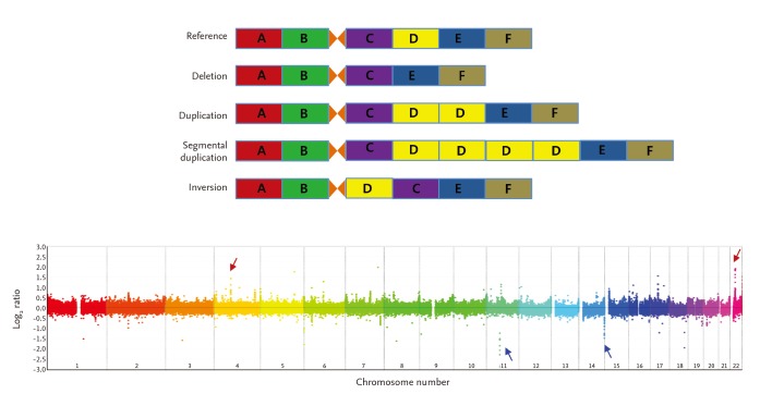 Detection Methods and Applications of CNV Mutations