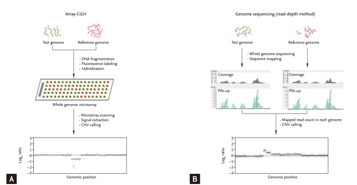 Methods for genome-wide identification of copy number variations (CNVs).