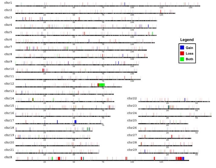 Figure3 Genomic distribution of CNVRs