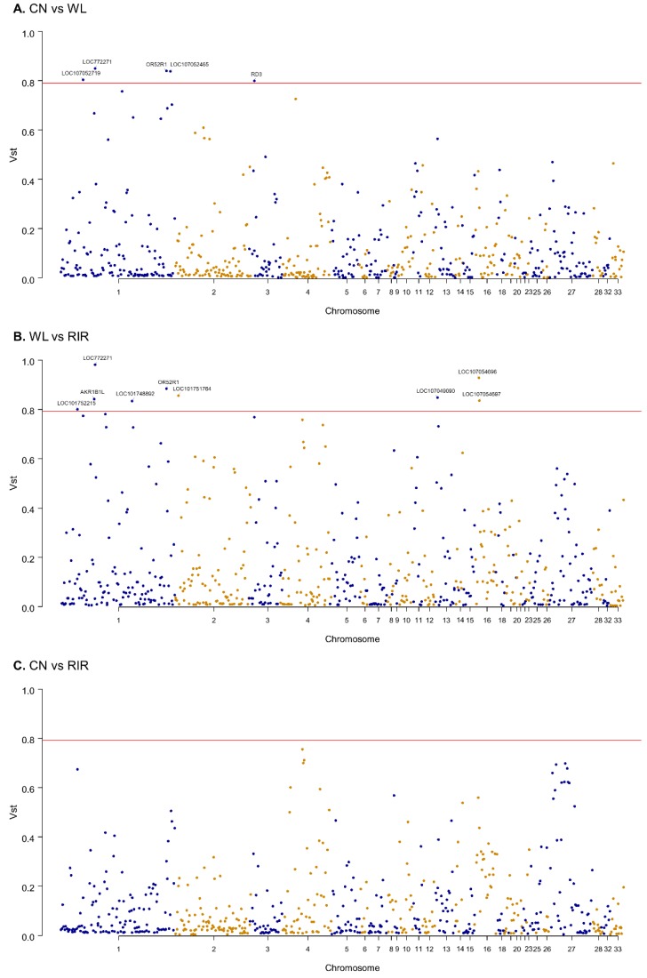 Figure7 Manhattan plot of the genomic Vst values for distinct chicken clusters