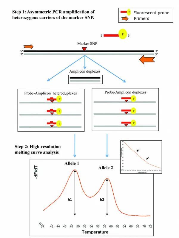 Figure.4 HRM principle