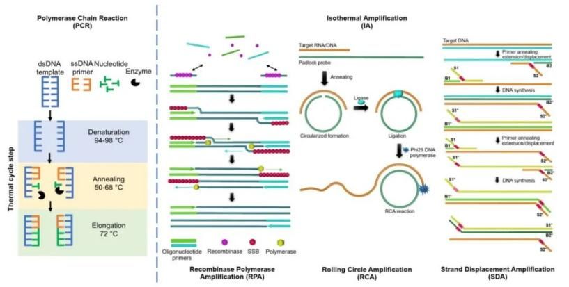 Figure.5 PCR and some IAT systems