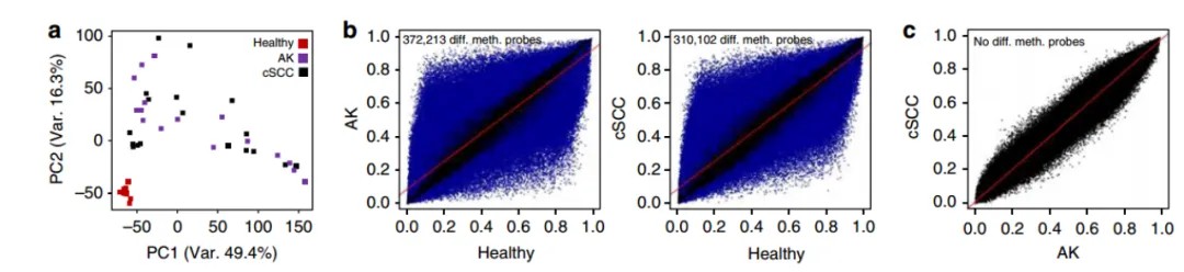 DNA Methylation Assay (Illumina 935K) Service