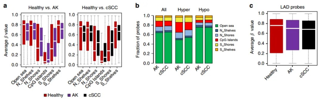 DNA Methylation Assay (Illumina 935K) Service