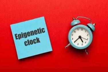 DNA Methylation Sequencing and the Epigenetic Clock