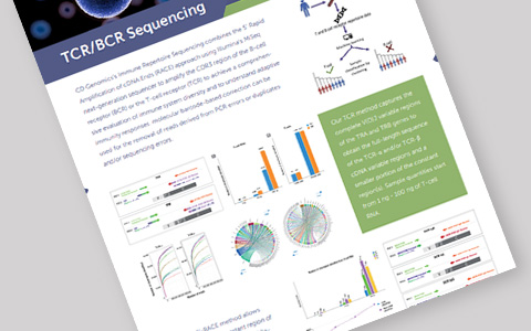 TCR/BCR Sequencing & HLA Typing