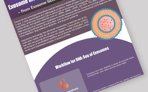 Exosome RNA Sequencing-From Exosome Isolation to Bioinformatics Analysis