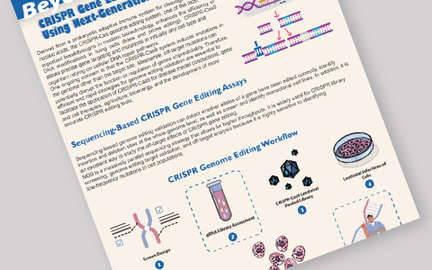 CRISPR Gene Editing Assessment and Quality Control Using Next-Generation Sequencing