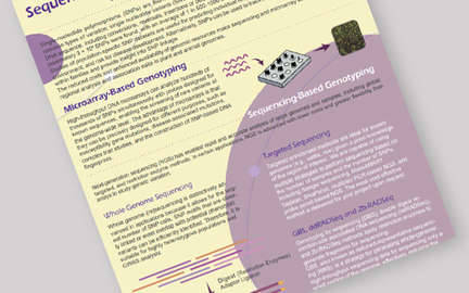 Sequencing or Array-Based Genotyping-Select The Best For Your Genome Project