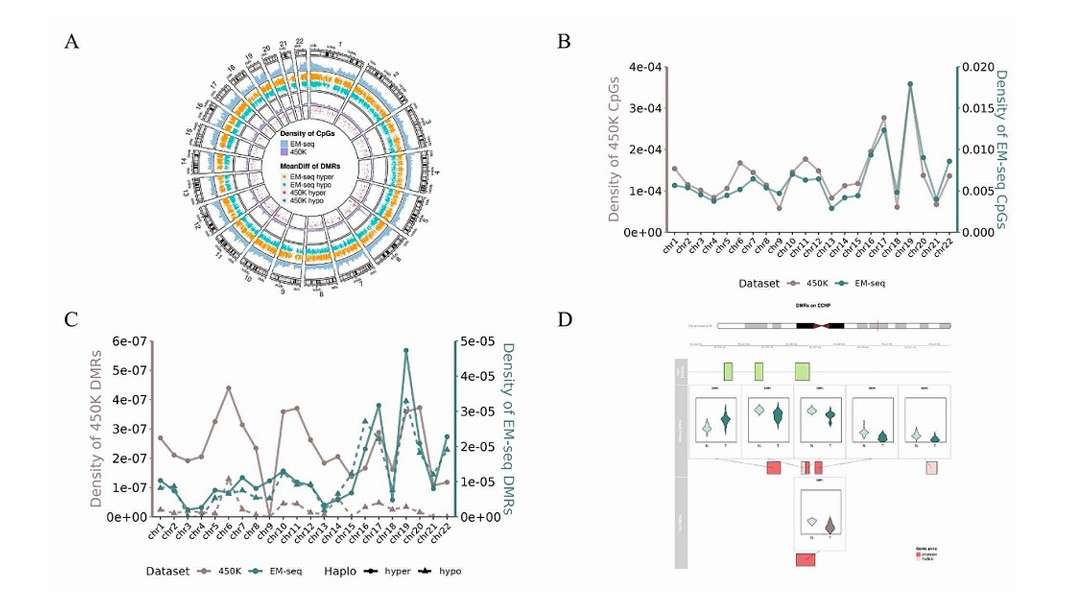 The genomic distribution of DMRs was comprehensively investigated (Gan et al., 2024)