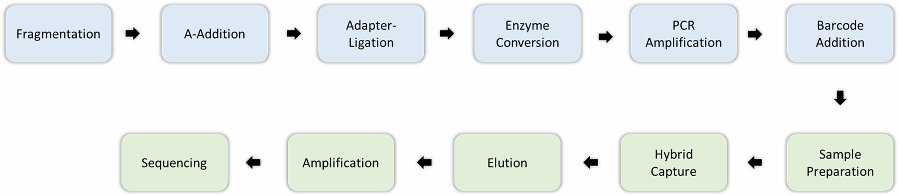EM-seq workflow overview.