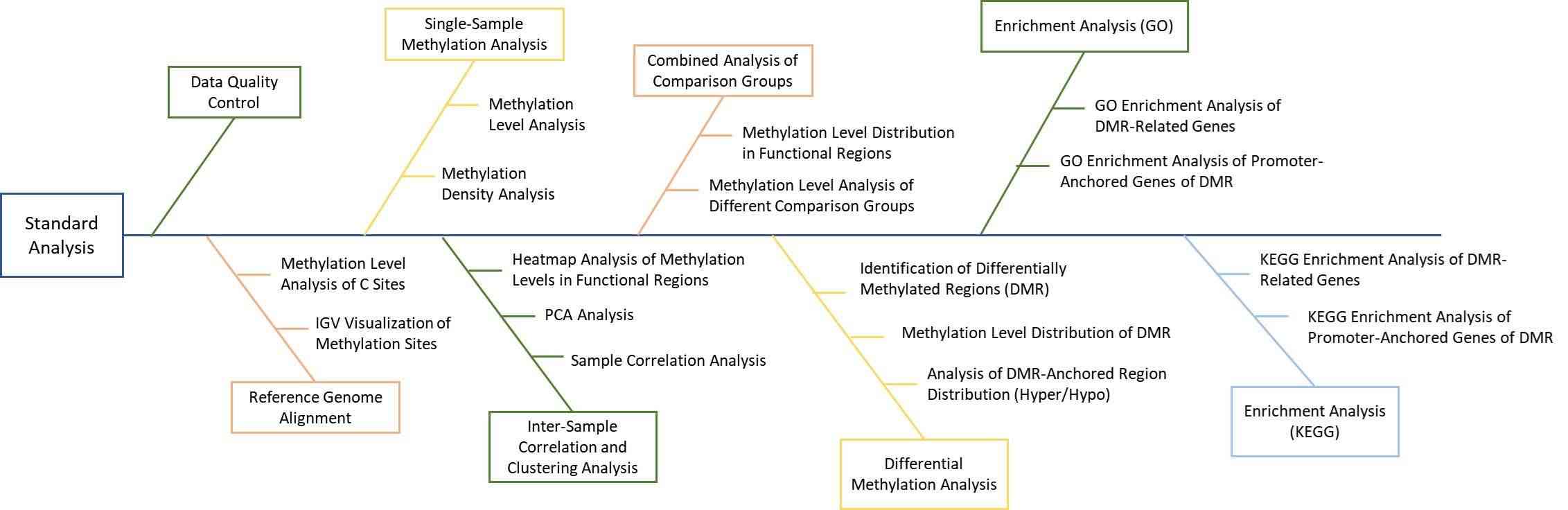 Analysis pipeline for EM-seq data.