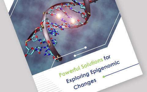 Powerful Solutions for Exploring Epigenomic Changes