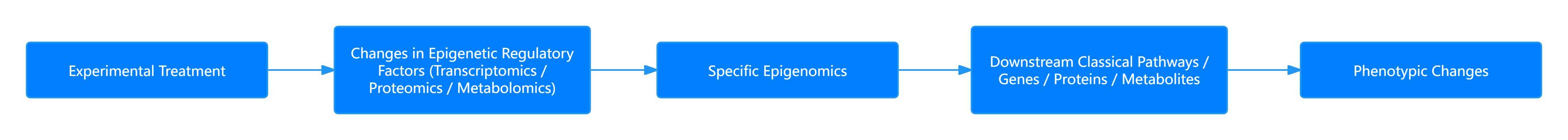 Conventional strategy for epigenomic research analysis.